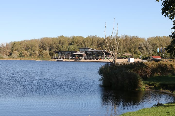 Photo 58 of H. Reptonstraat 54