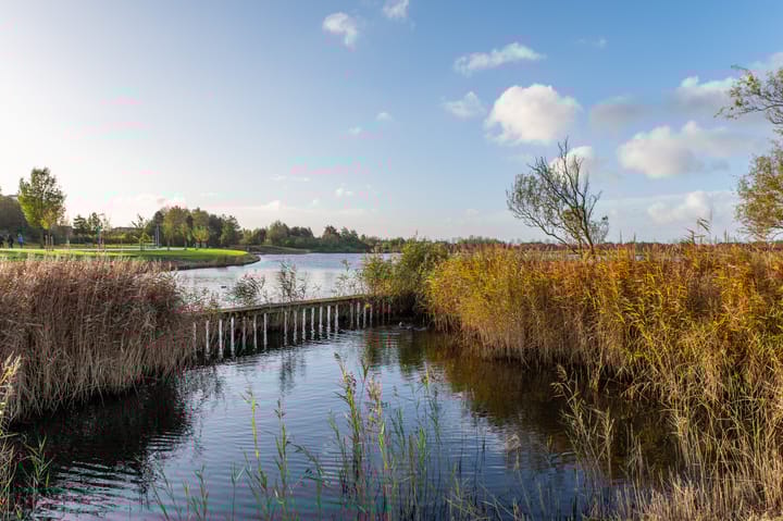 Foto 35 van Pauwenburg 6