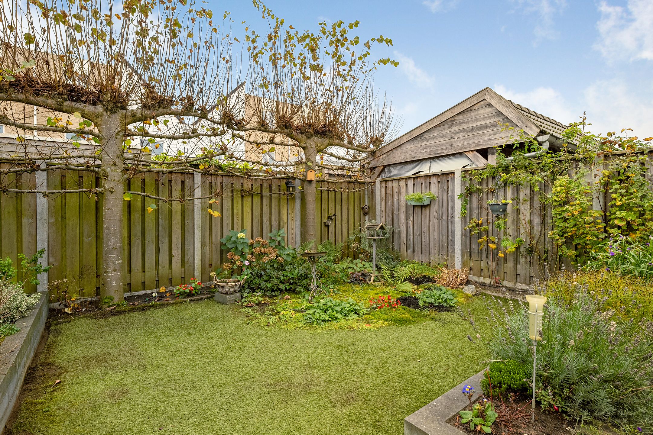 Foto 36 van Teeuwserf 32