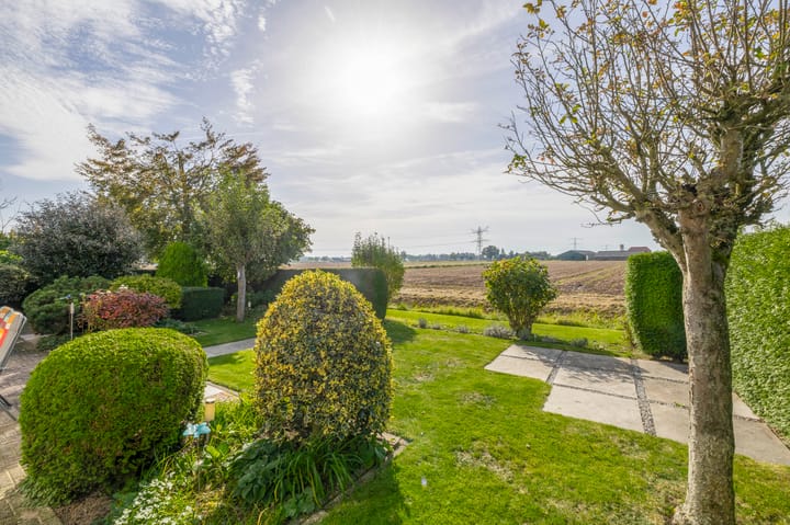 Foto 46 van Winterrietpeer 15