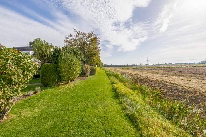 Foto 48 van Winterrietpeer 15