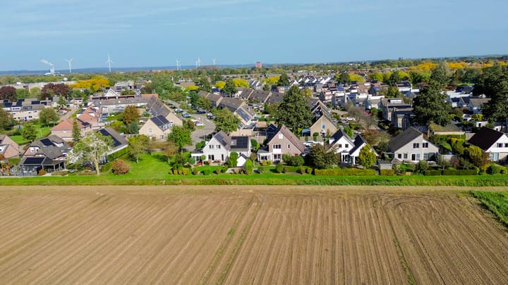 Foto 50 van Winterrietpeer 15