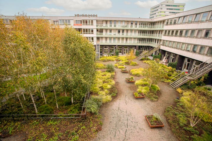 Foto 4 van Maassluisstraat 53