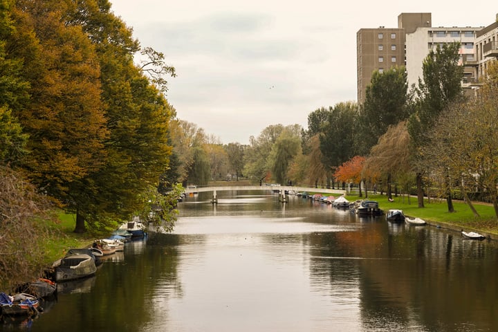 View photo 35 of Maassluisstraat 53