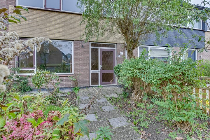 Foto 2 van Ratelaar 6