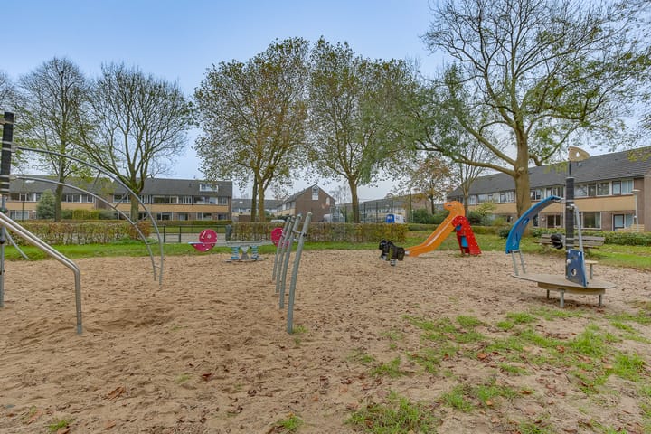 Foto 4 van Ratelaar 6