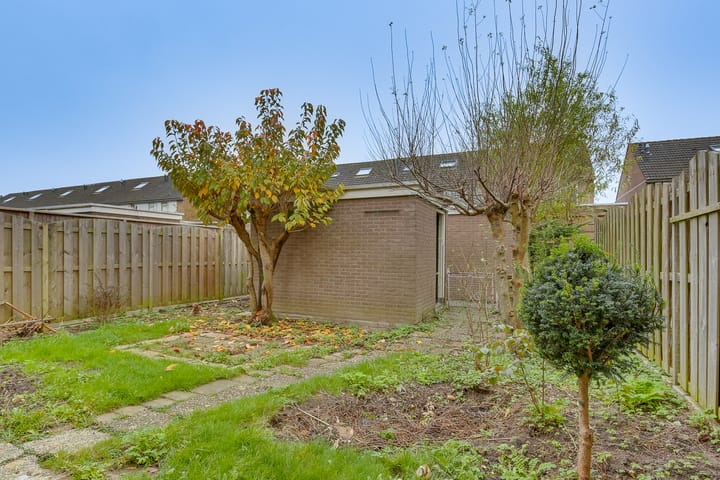 Foto 17 van Ratelaar 6