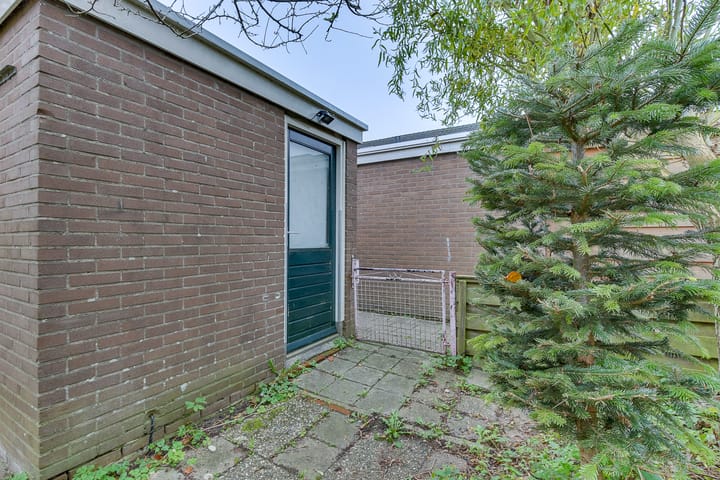 Foto 19 van Ratelaar 6