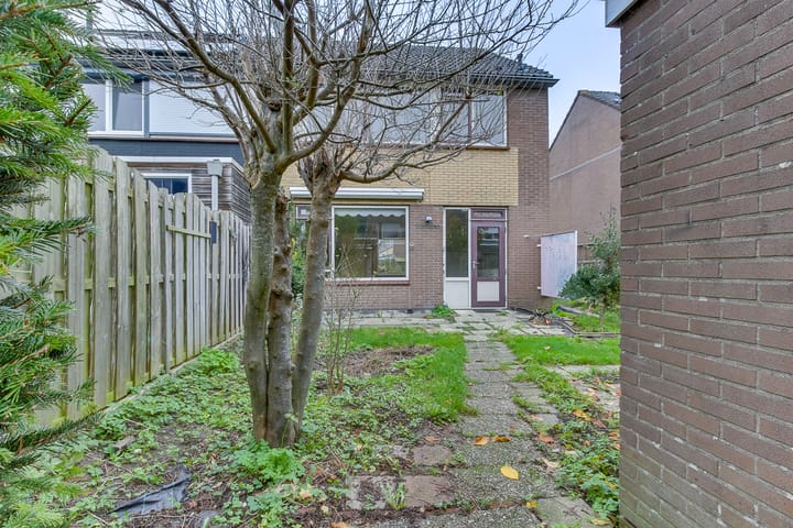 Foto 20 van Ratelaar 6