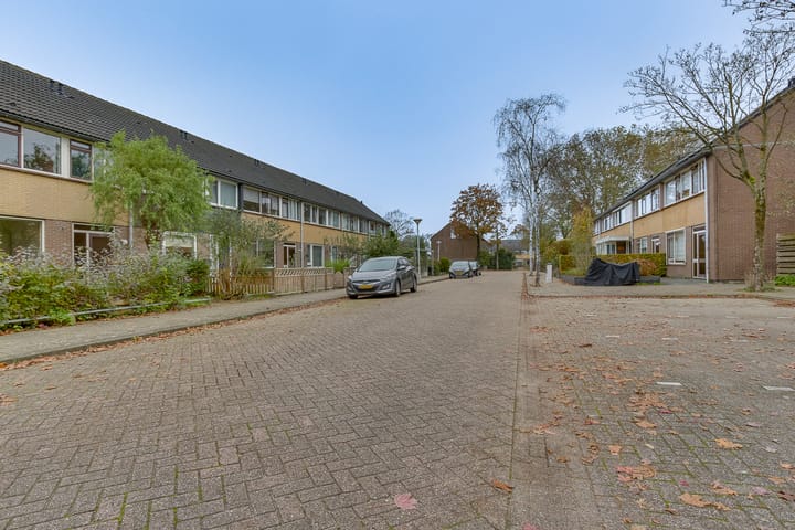 Foto 36 van Ratelaar 6