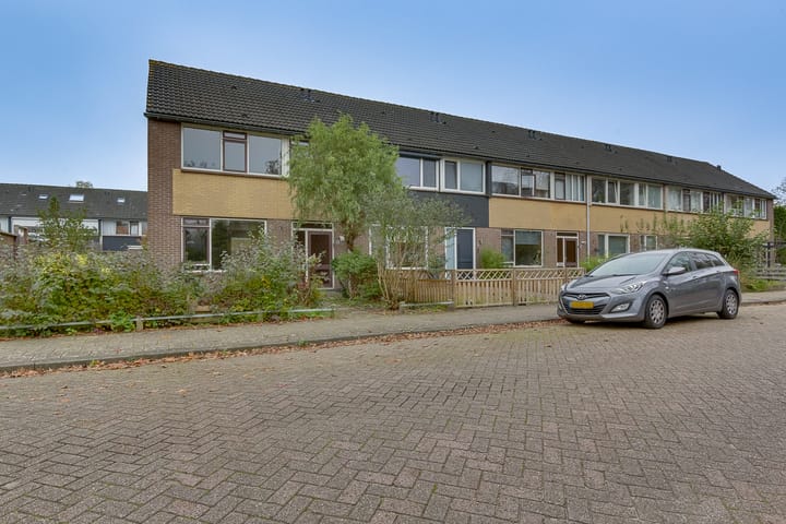 Foto 37 van Ratelaar 6