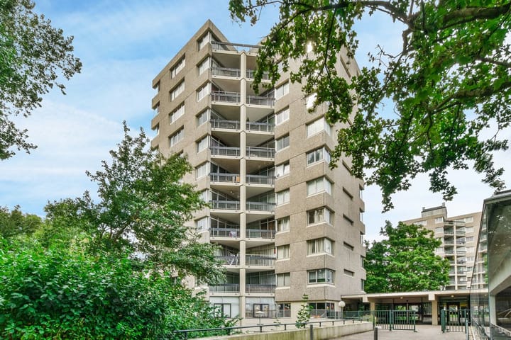 Foto 1 van Gouden Leeuw 236