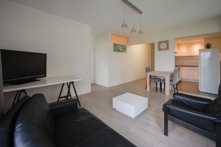 Foto 2 van Gouden Leeuw 236