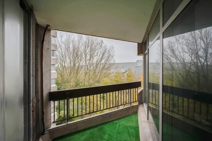 Foto 4 van Gouden Leeuw 236