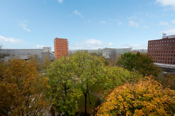 Foto 5 van Gouden Leeuw 236