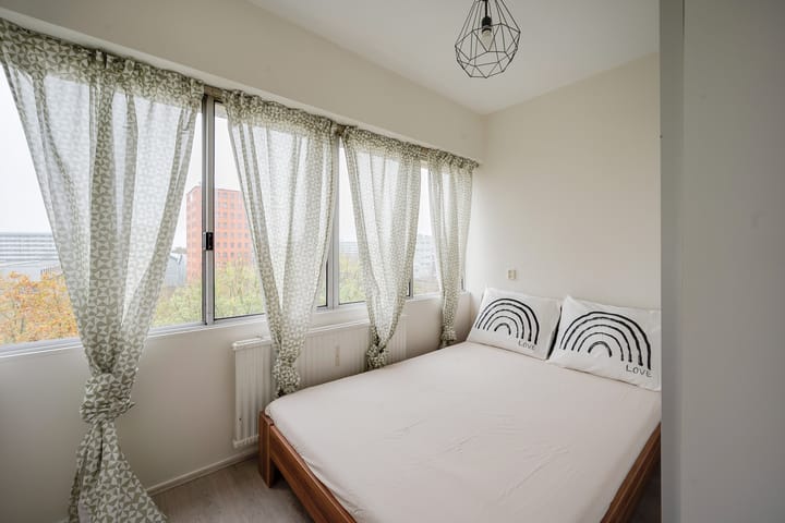 Foto 6 van Gouden Leeuw 236