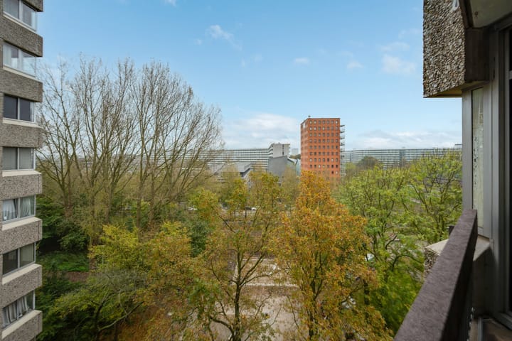 Foto 10 van Gouden Leeuw 236