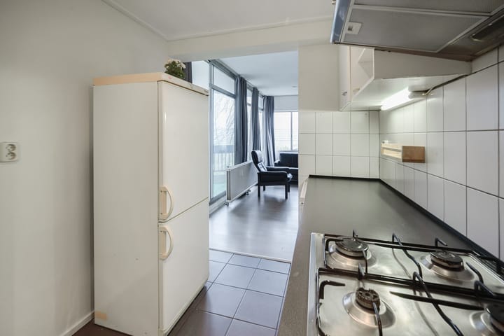 Foto 12 van Gouden Leeuw 236