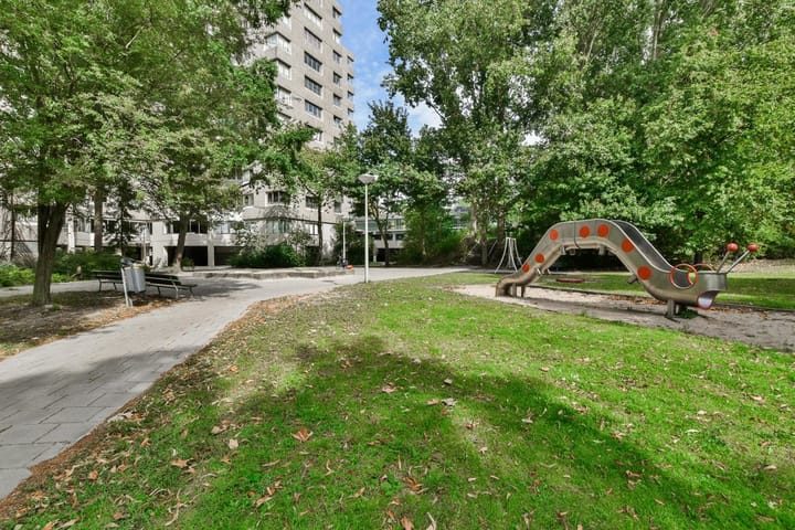 Foto 15 van Gouden Leeuw 236