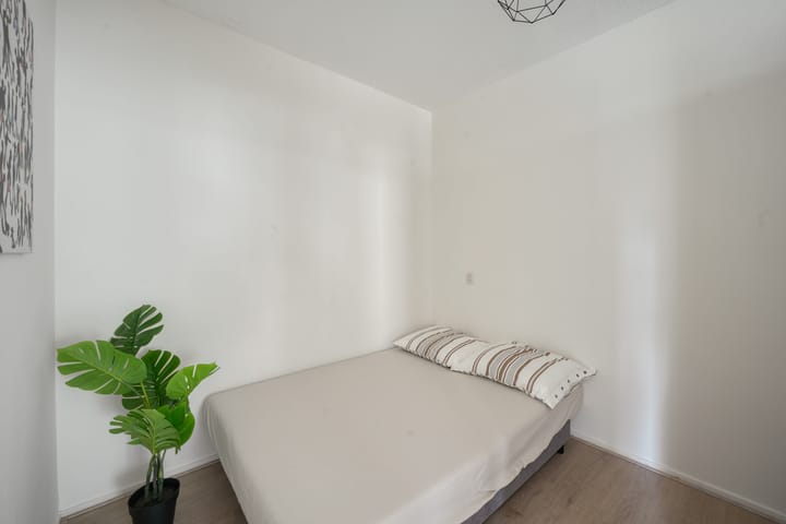 Foto 8 van Gouden Leeuw 236