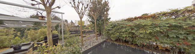 View 360° photo of Achtertuin of Atalanta 74