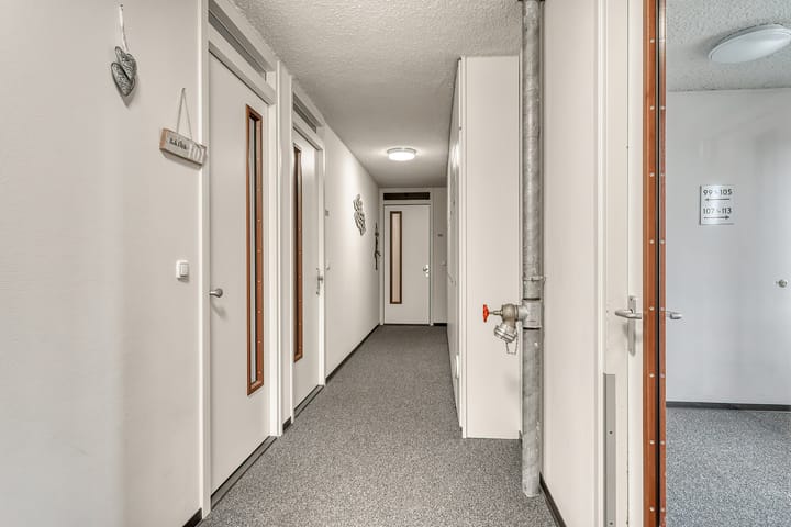 Foto 19 van Bomschuitstraat 101