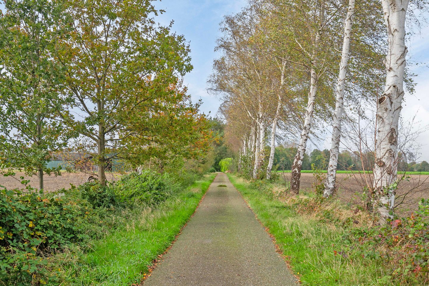 Bekijk foto 2 van Boerdonksedijk 2