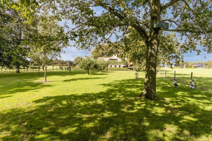 Foto 5 van Rheezerveenseweg 36