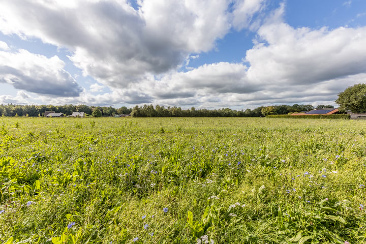 View photo 50 of Rheezerveenseweg 36