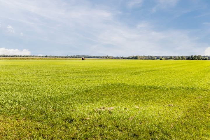 View photo 54 of Rheezerveenseweg 36