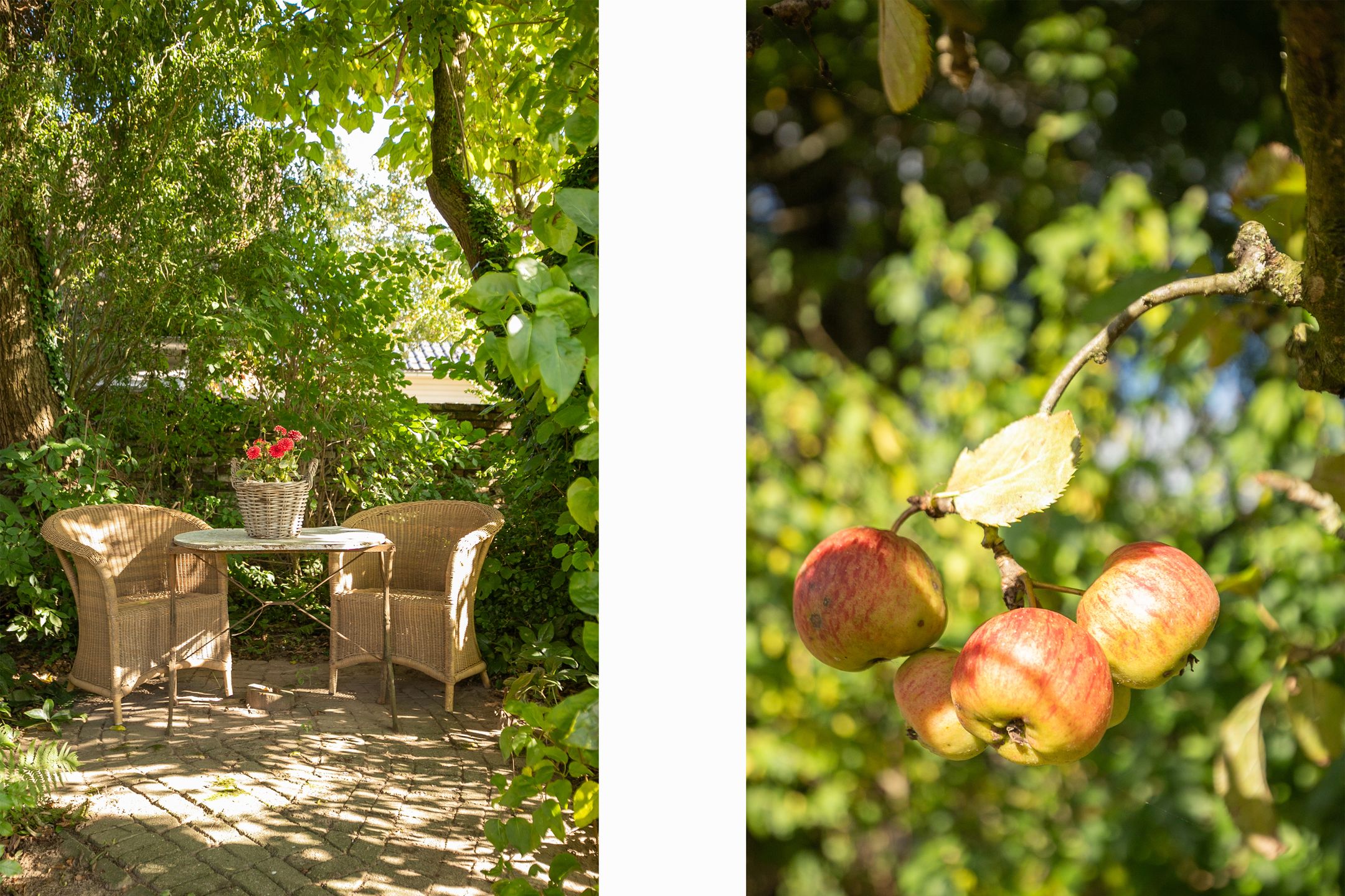 Foto 33 van Hegge 150