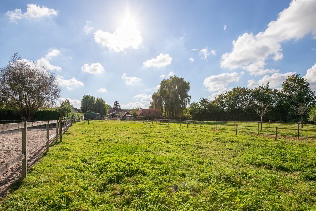 Foto 38 van Hegge 150