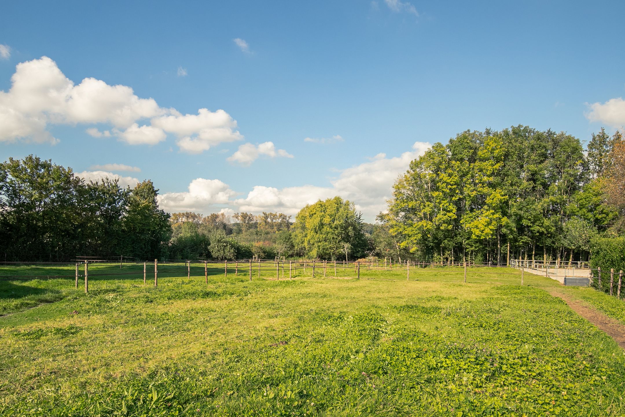 Foto 39 van Hegge 150