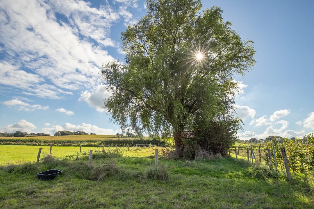 Foto 41 van Hegge 150