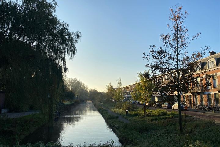 Bekijk foto 18 van Carel Reinierszkade 125