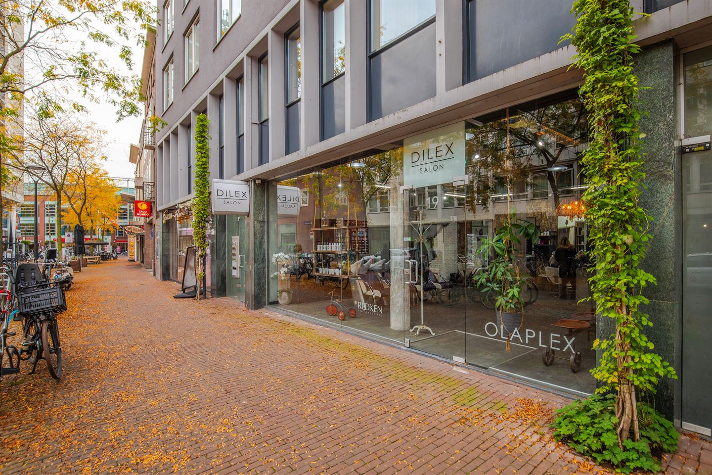 View photo 1 of Looierstraat 19