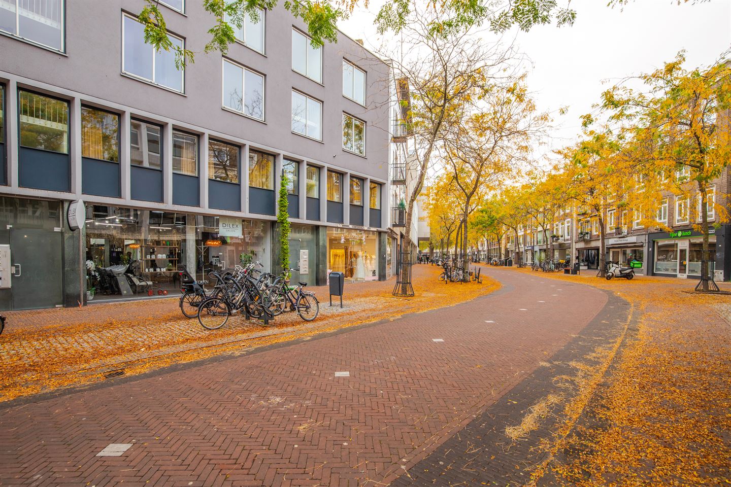 View photo 5 of Looierstraat 19