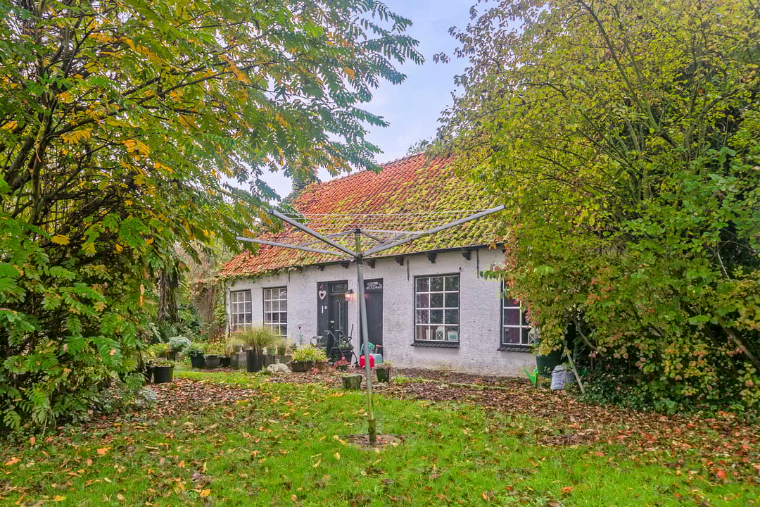 Foto 1 van Sasput 21