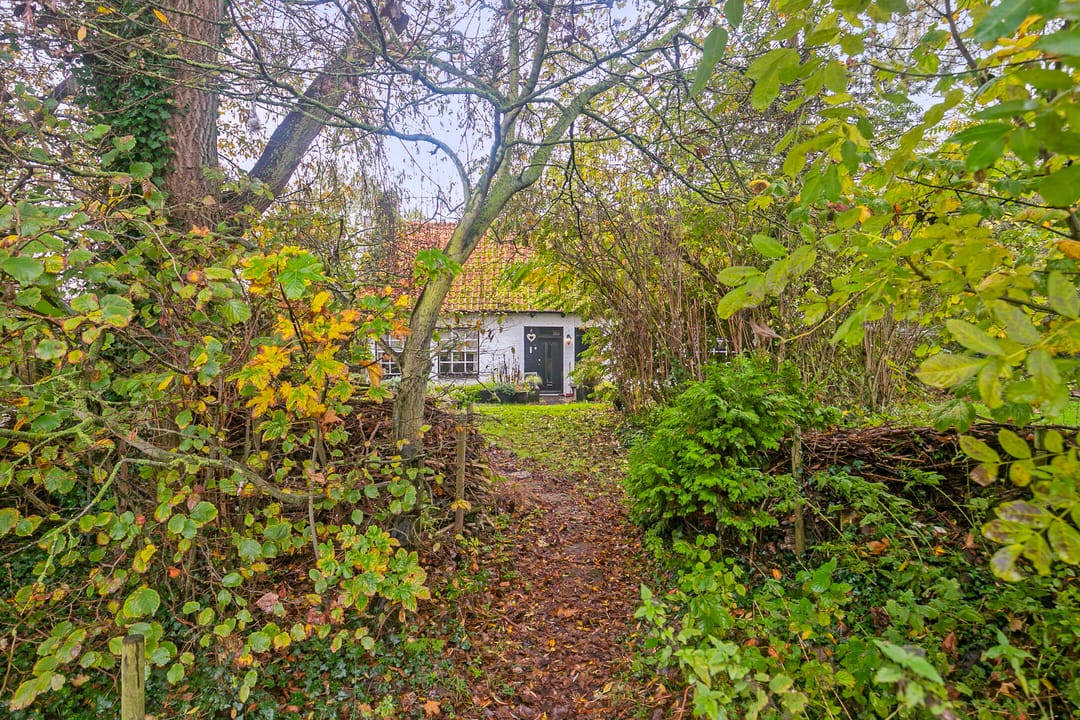 Foto 2 van Sasput 21