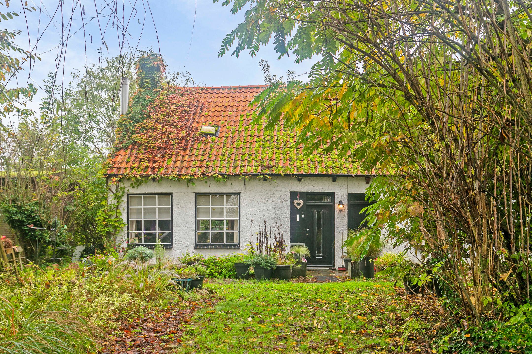 Foto 3 van Sasput 21