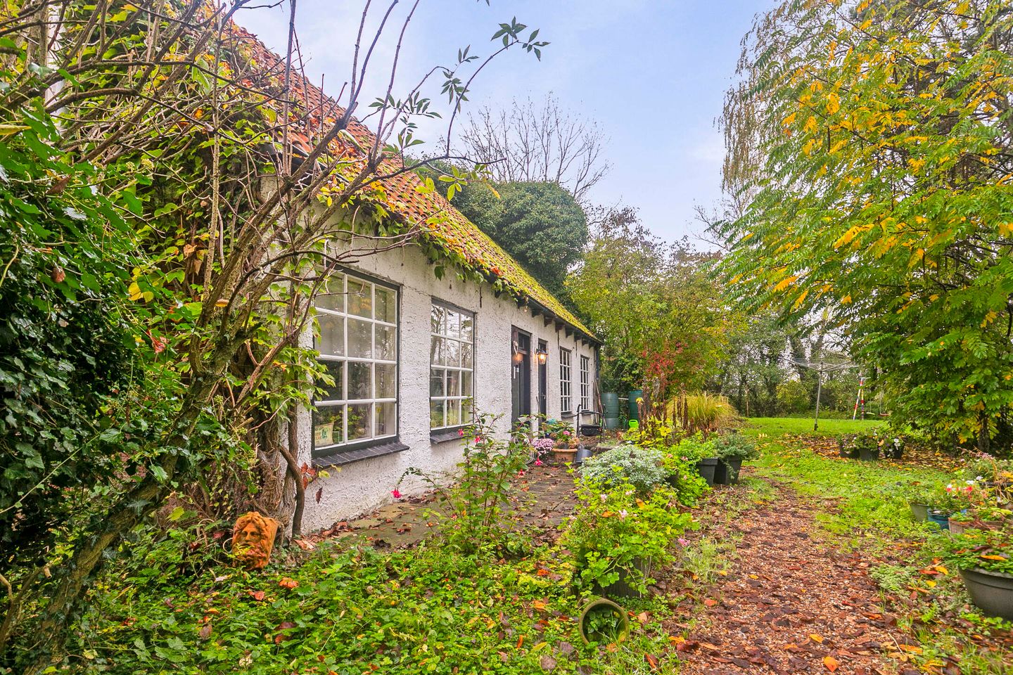 Foto 4 van Sasput 21