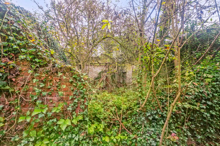 Foto 26 van Sasput 21