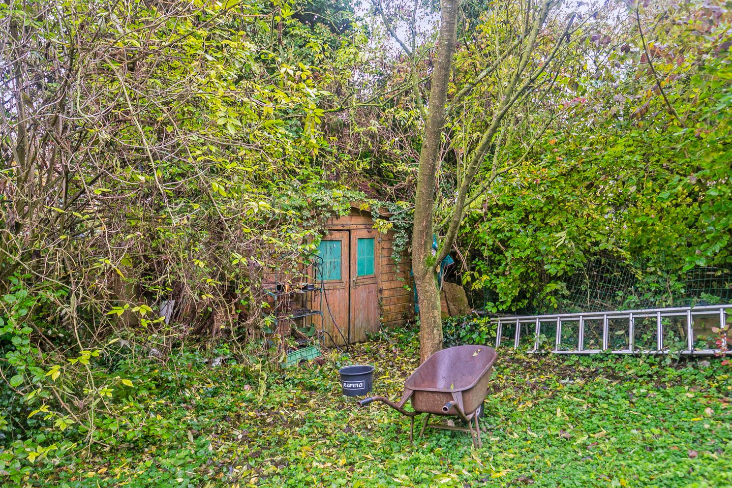 Foto 25 van Sasput 21