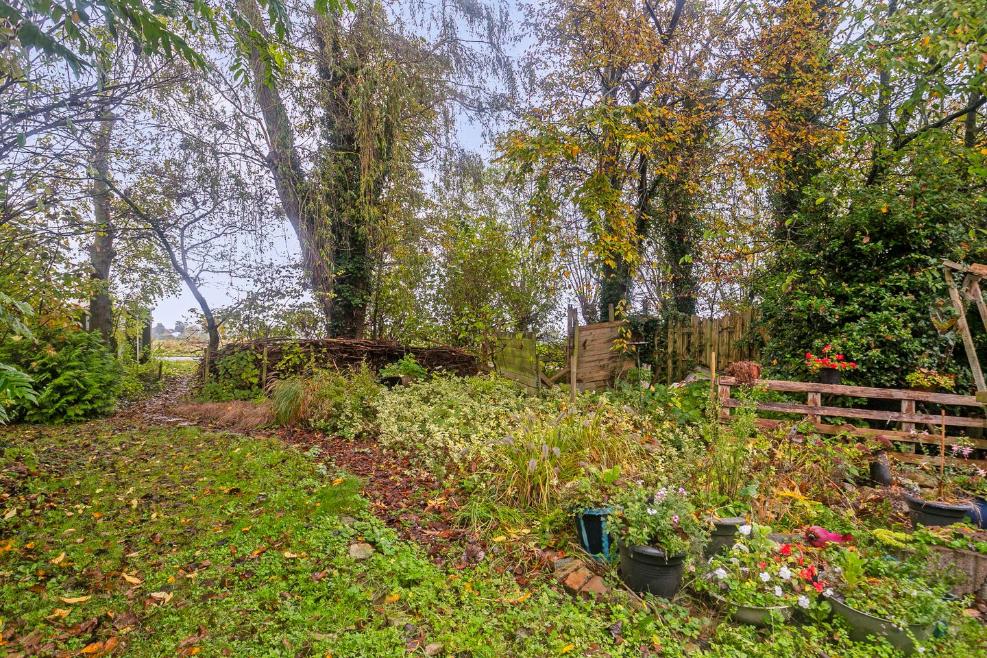 Foto 29 van Sasput 21