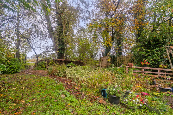 Foto 29 van Sasput 21