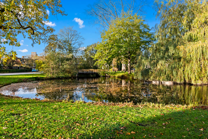 Bekijk foto 49 van Laan van Altena 53