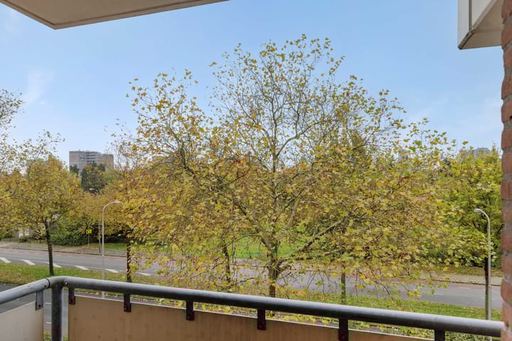 Foto 24 van Europalaan 18-B