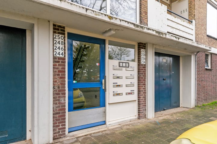 Foto 7 van Dahliastraat 254