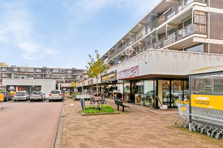 Foto 28 van Dahliastraat 254