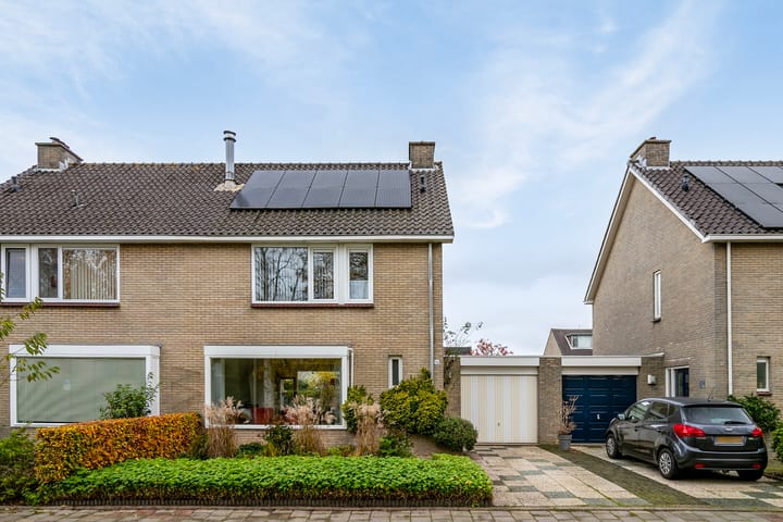 Foto 1 van Boterbloem 16